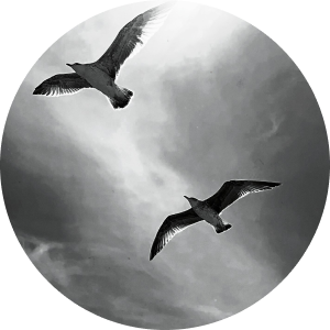 5 поучений Макария Оптинского