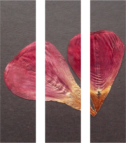 Жена бесплодна