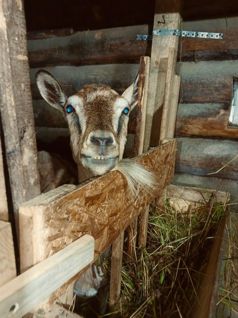 «Если Бог с тобой, всё обязательно получится!» История о том, как я чуть не отказалась от своей мечты
