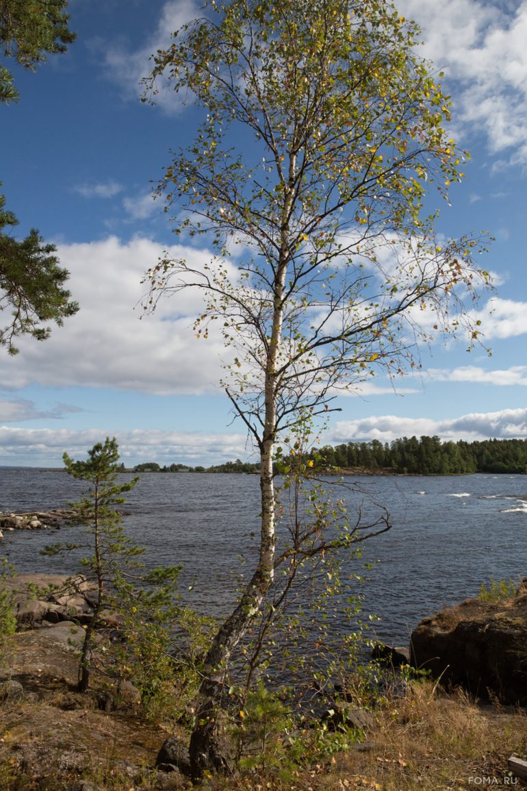 Вокруг Ладоги. Фотопутешествие Владимира Ештокина