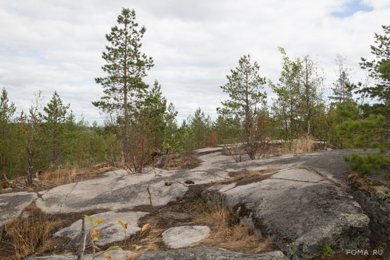 Вокруг Ладоги. Фотопутешествие Владимира Ештокина