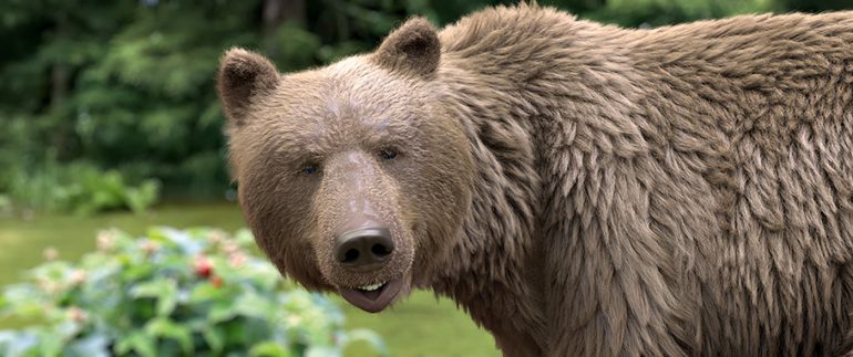 Новый мультфильм о Серафиме. Почему его стоит посмотреть вместе с детьми