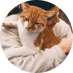 Какие бывают молитвы?