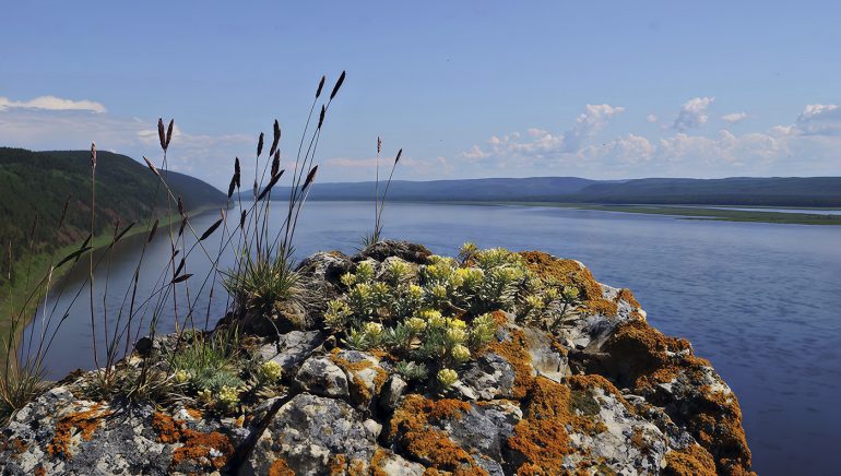 Оптинский монах Ферапонт. Тихий инок, которого убили первым на Пасху 1993-го