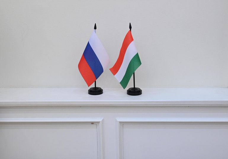 Венгры соприкоснулись с духовной культурой России: впервые услышали Сретенский хор, узнали о возрождении Кижей и познакомились с народными инструментами