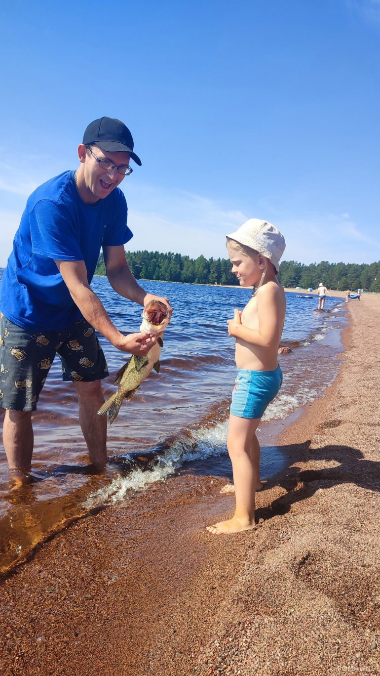 Сердце отца: Фотографии читателей журнала «Фома»