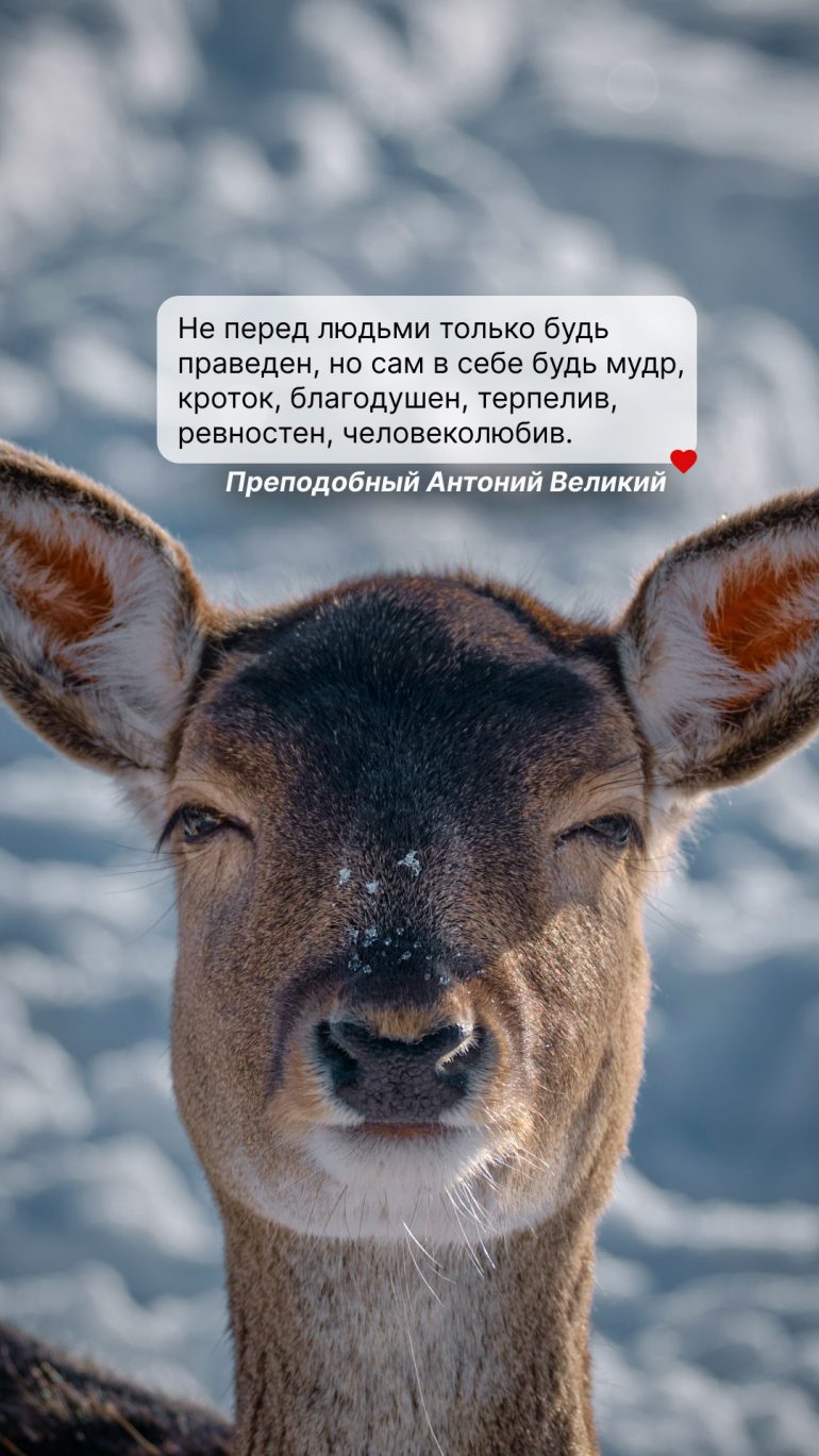 Обои для Рождественского поста