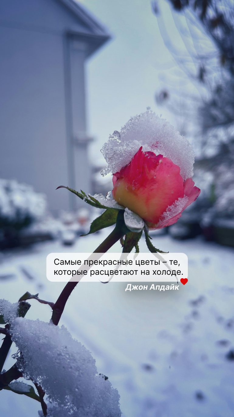 Обои для Рождественского поста