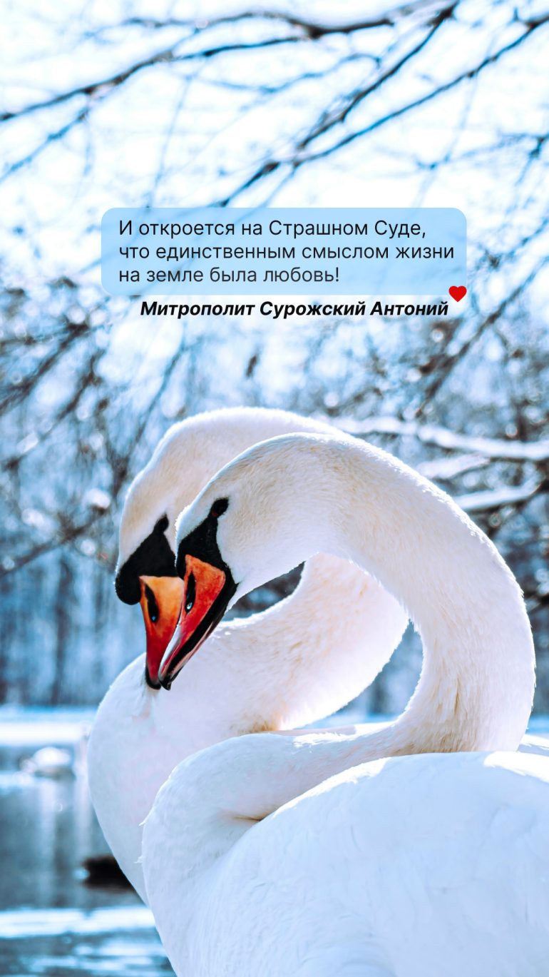 Обои для Рождественского поста