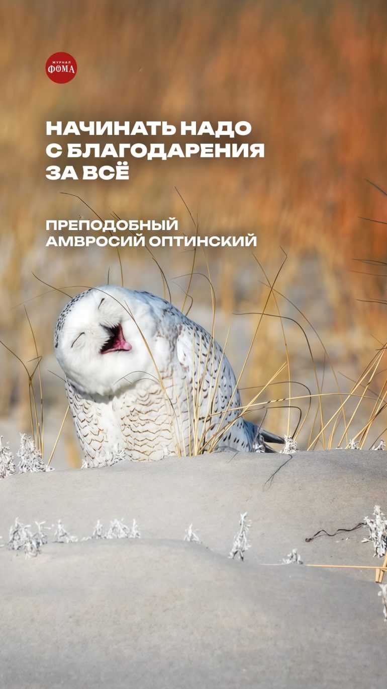 Вдохновляющие цитаты на Новый год