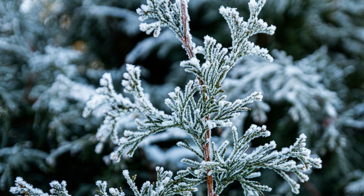 Что важно сделать в первый день нового года?