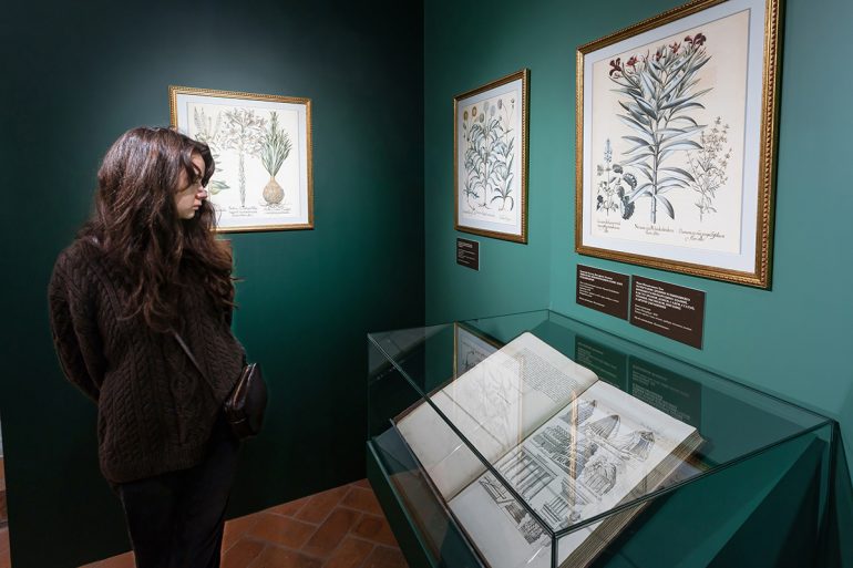 Неожиданный взгляд на династию: в Коломенском открылась уникальная выставка о Романовых