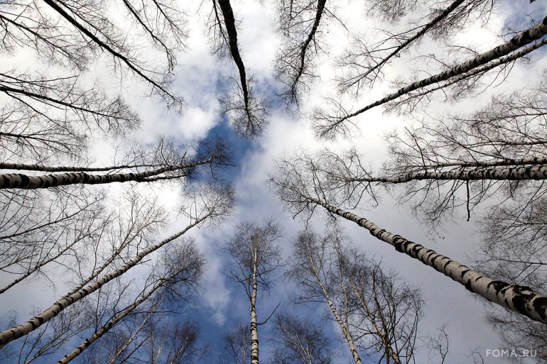 Дыхание света.  Лучшие зимние фотографии фотографа журнала «Фома» Владимира Ештокина