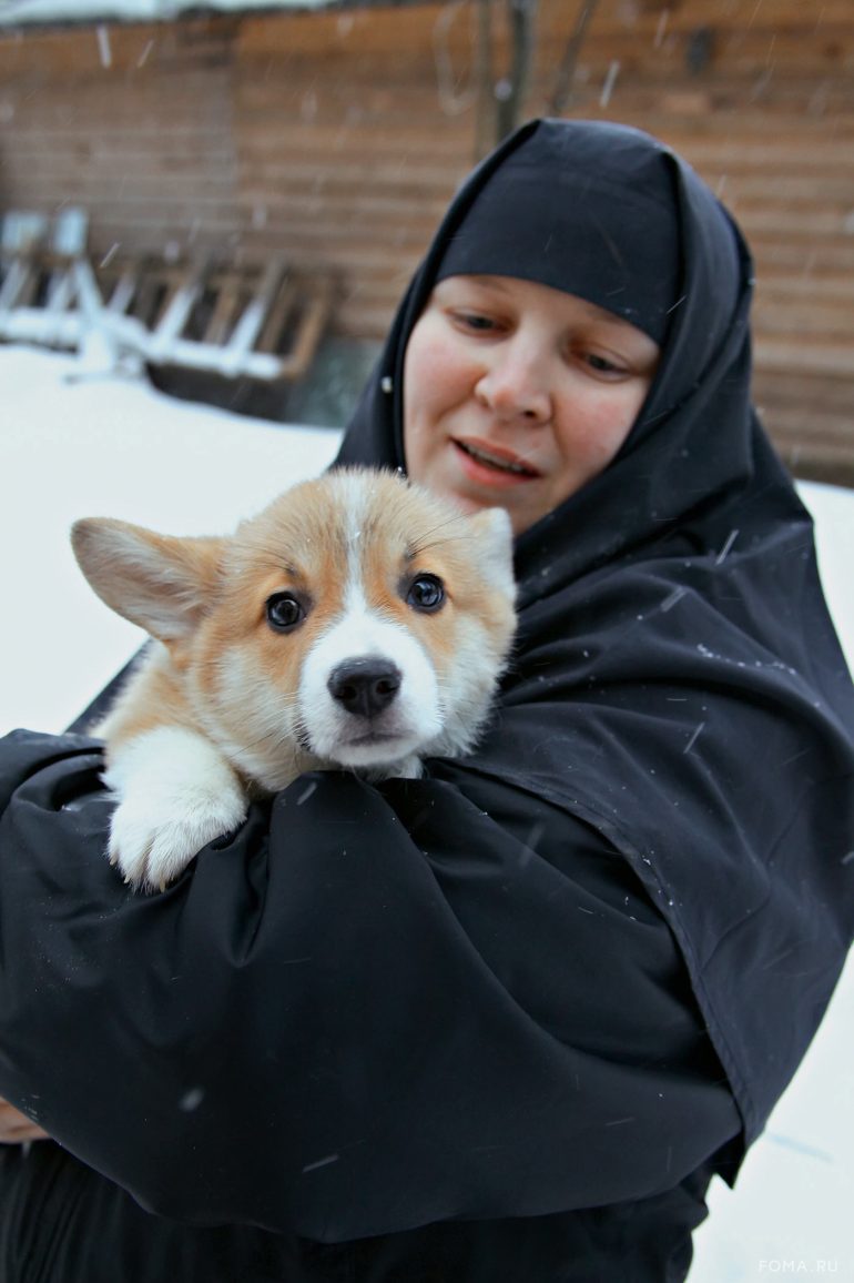 Дыхание света.  Лучшие зимние фотографии фотографа журнала «Фома» Владимира Ештокина