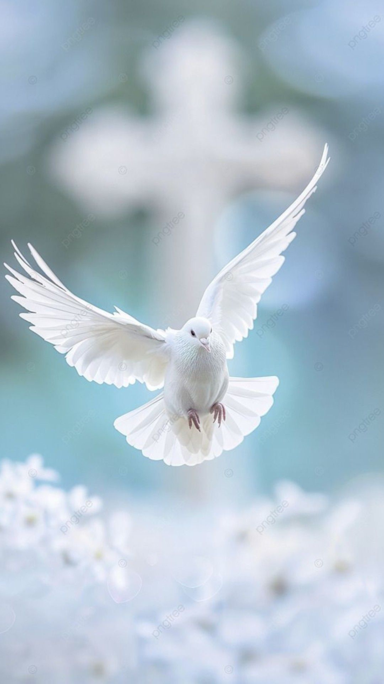 Обои для смартфона на Крещение Господне 2026