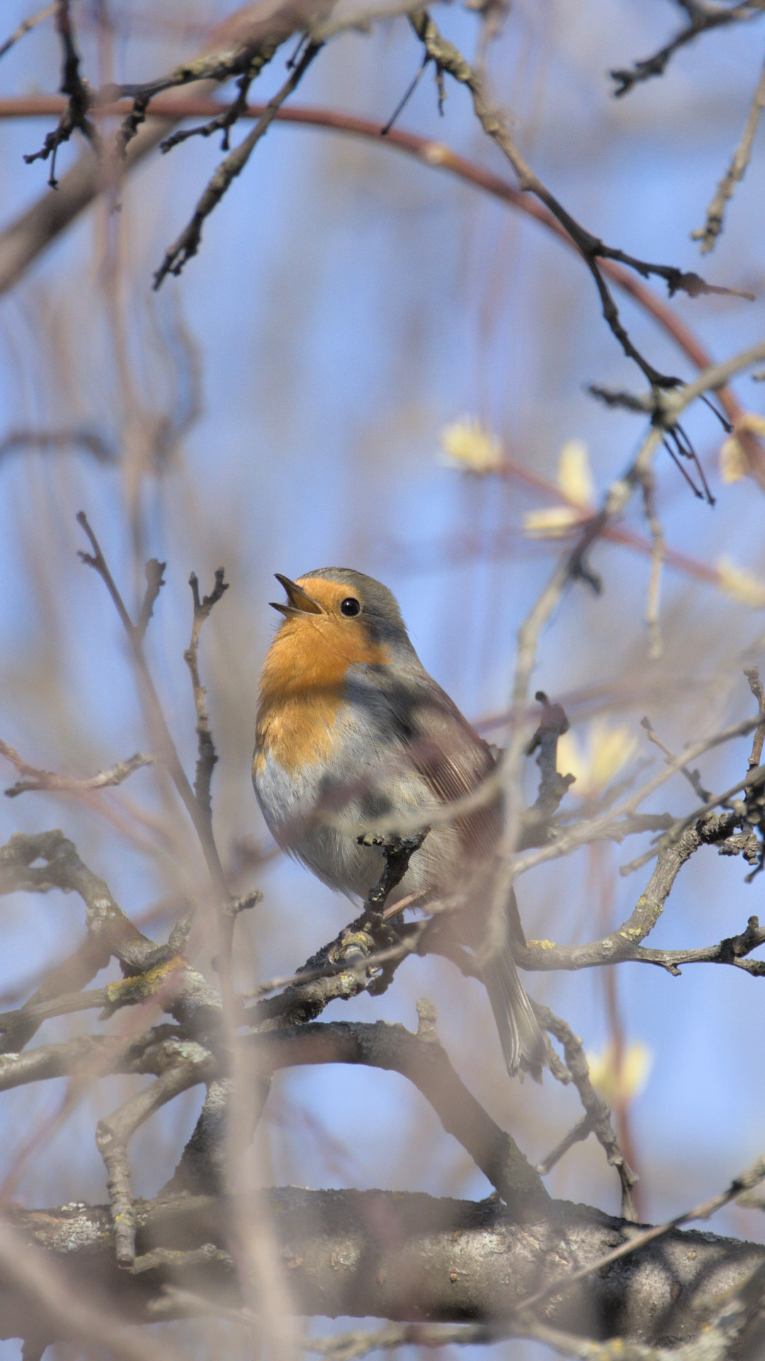 Фотообои на Великий пост