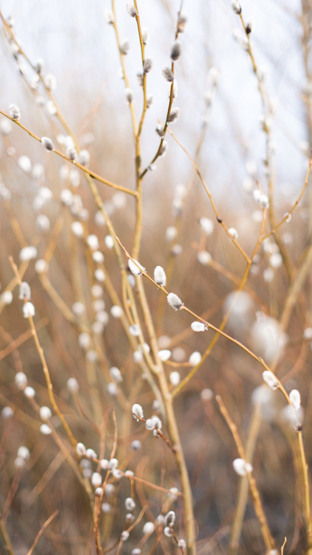 Фотообои на Великий пост
