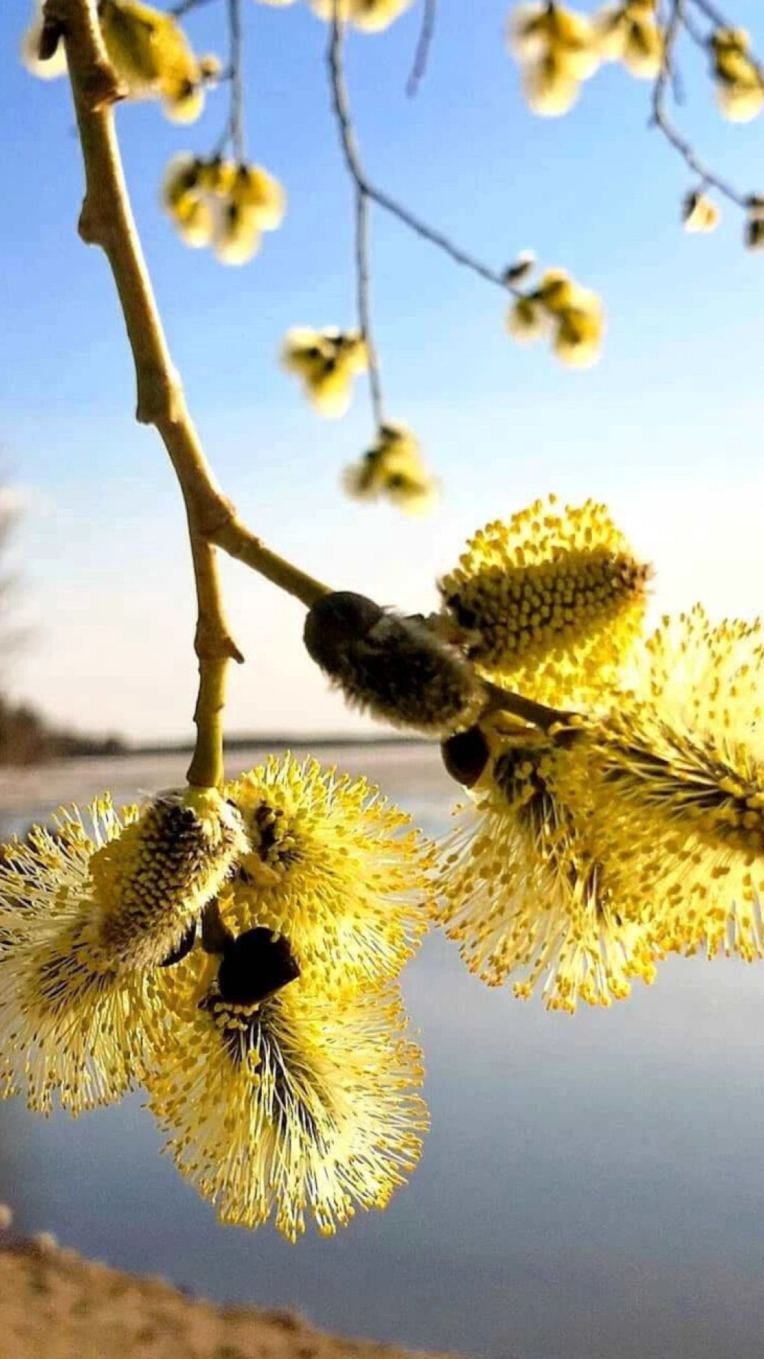 Фотообои на Великий пост