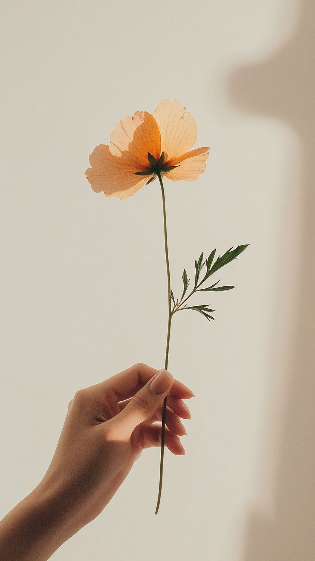 Фотообои на Великий пост