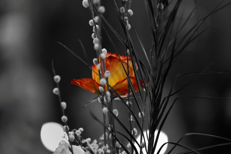 Как правильно провести Вербное воскресенье?