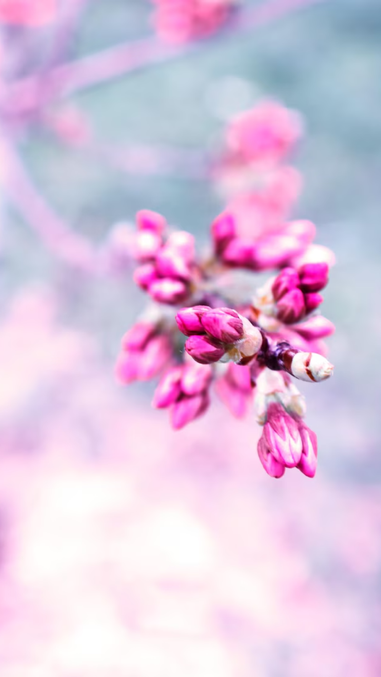 Пасхальные фотообои 2026