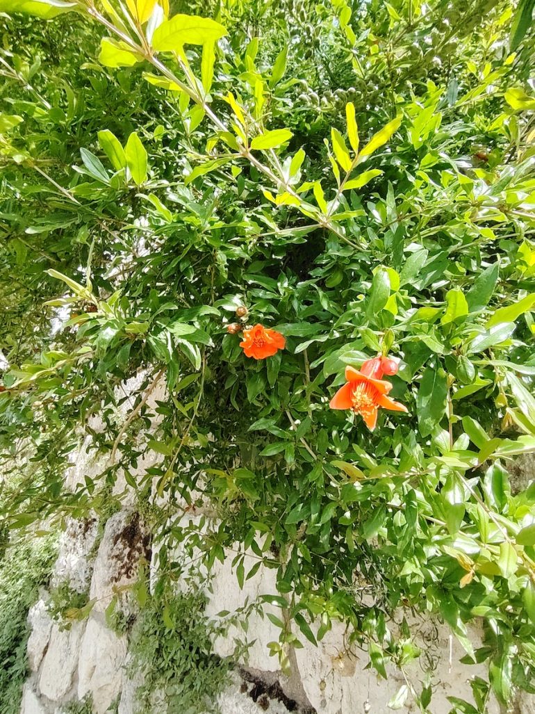 Что я испытала на Святой Земле в Пасху