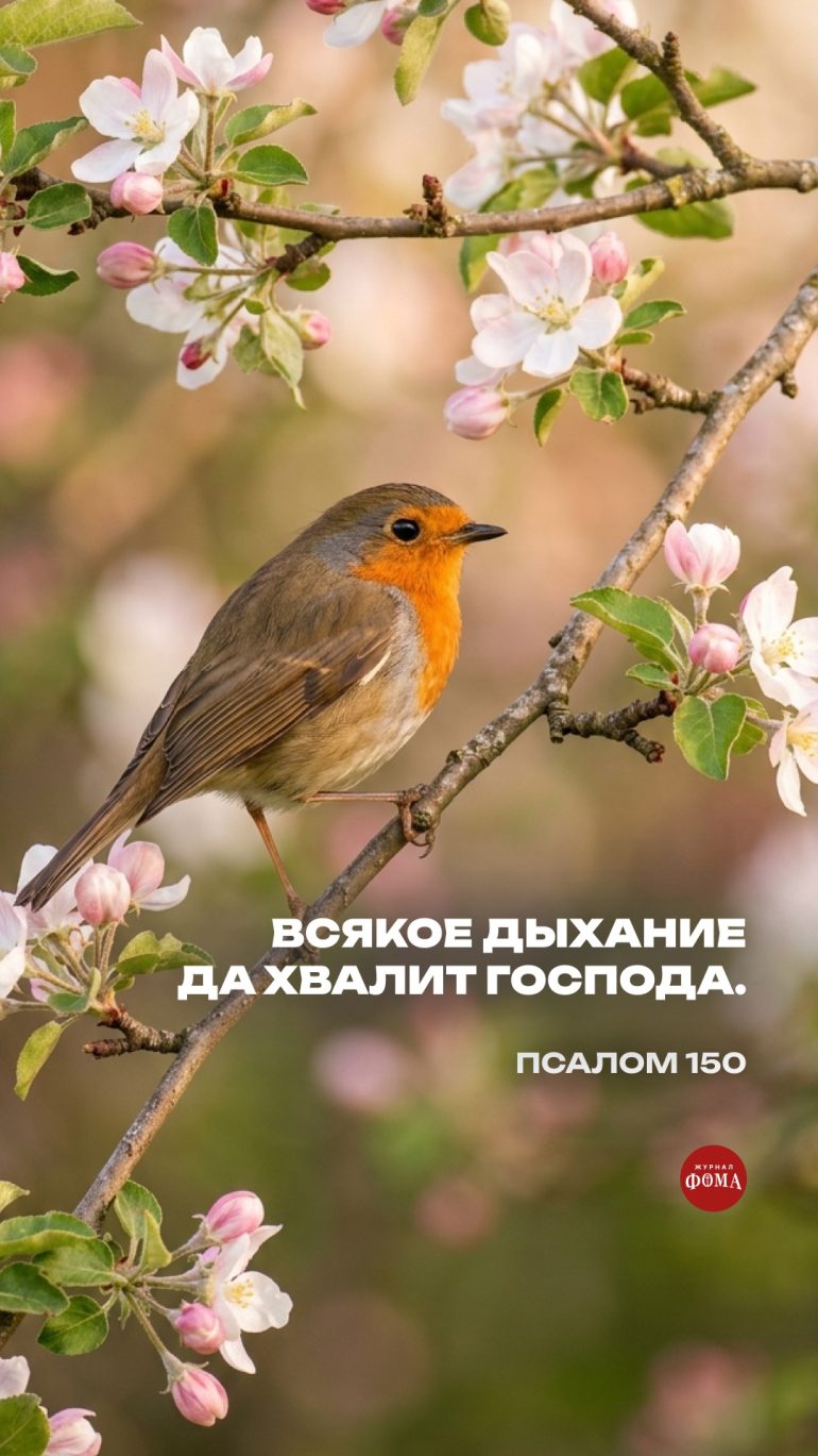 Весенние обои на телефон с христианскими цитатами