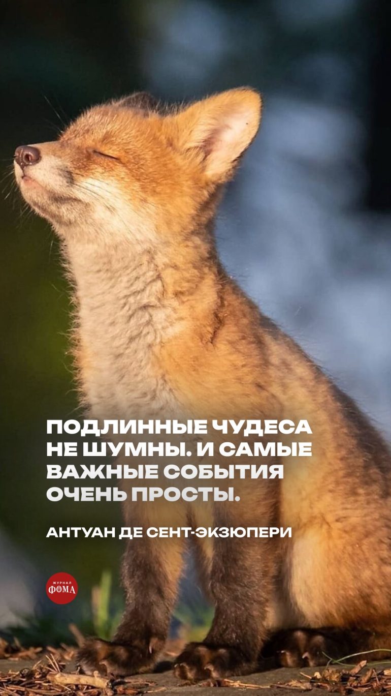 Весенние обои на телефон с христианскими цитатами