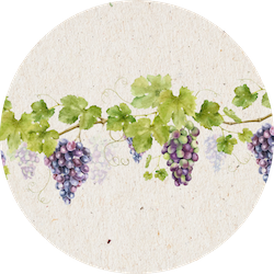 Какой важный евангельский смысл раскрывает святитель Иоанн Златоуст в своем знаменитом слове на Пасху