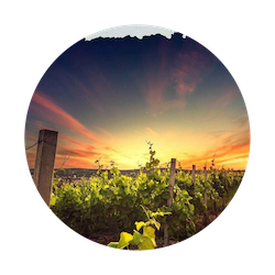 Какой важный евангельский смысл раскрывает святитель Иоанн Златоуст в своем знаменитом слове на Пасху