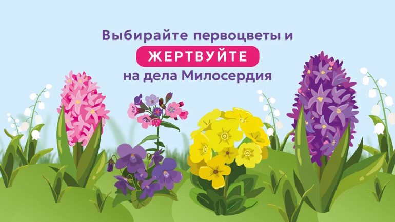 Портал «Милосердие.ru» приглашает выбрать любимый первоцвет и, тем самым, помочь нуждающимся