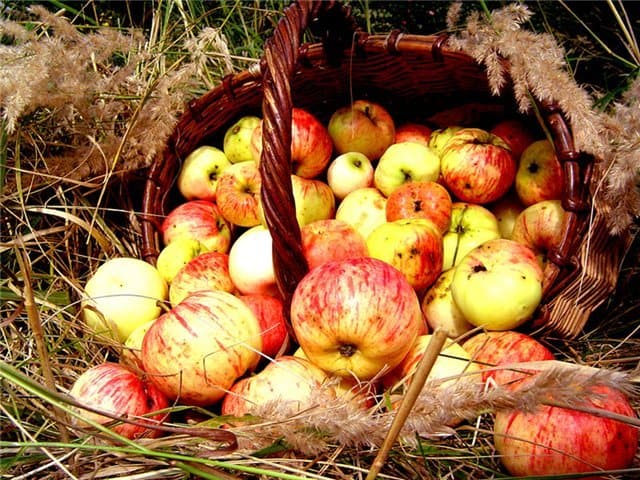 Грех ли есть яблоки до освящения в день Преображения?